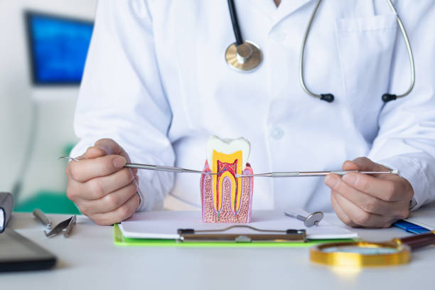Best Emergency Orthodontic Repairs in Honsville, GA